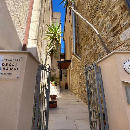 B&B degli Aranci Palinuro Esterno foto